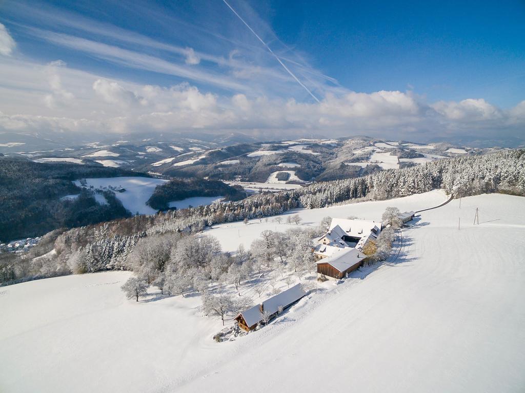 Vila Wachahof Edlitz Exteriér fotografie