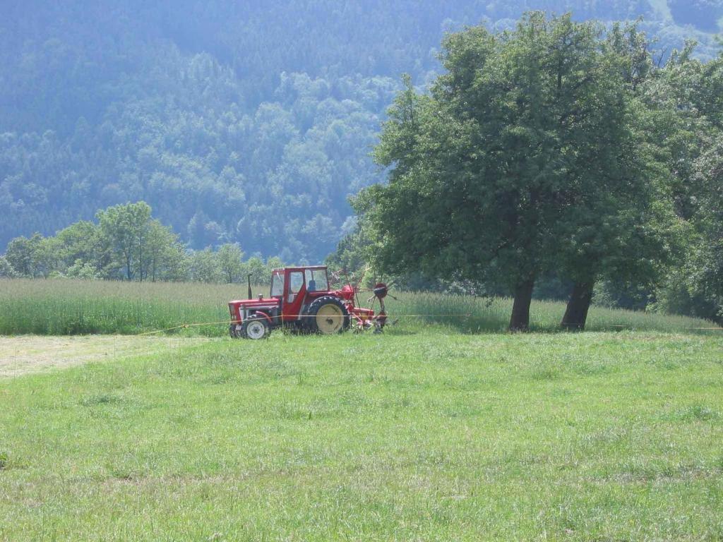 Vila Wachahof Edlitz Exteriér fotografie