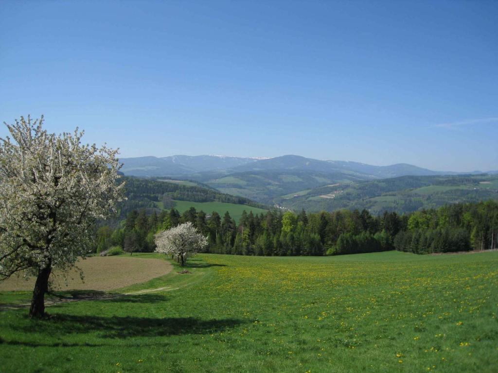 Vila Wachahof Edlitz Exteriér fotografie